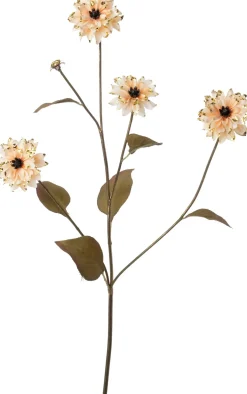 Intratuin kerstbloem dahlia geel 66 cm