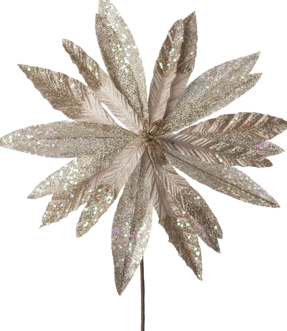 Intratuin kerstbloem Ella beige D 32 cm