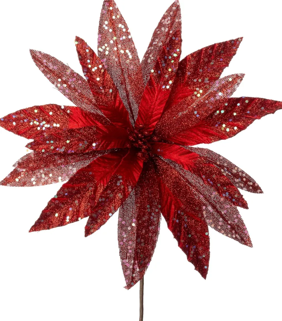Intratuin kerstbloem Ella rood D 32 cm