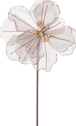 Intratuin kerstbloem Japanse roos bruin 50 cm