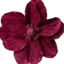 Intratuin kerstbloem jasmijn roze 65 cm