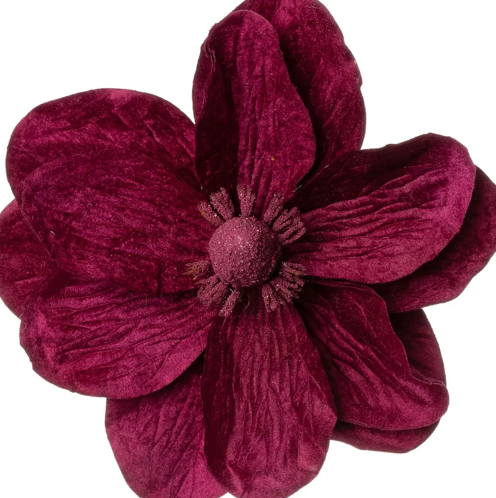 Intratuin kerstbloem jasmijn roze 65 cm