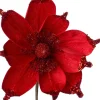 Intratuin kerstbloem Joy rood D 18 cm