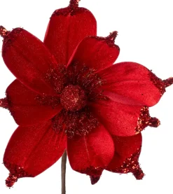 Intratuin kerstbloem Joy rood D 18 cm