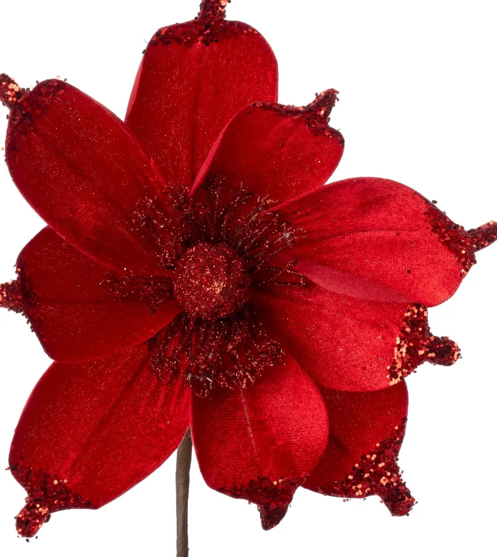 Intratuin kerstbloem Joy rood D 18 cm