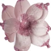 Intratuin kerstbloem Joy roze D 18 cm