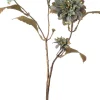 Intratuin kerstbloem kamille oranje 90 cm