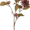 Intratuin kerstbloem kamille paars 90 cm