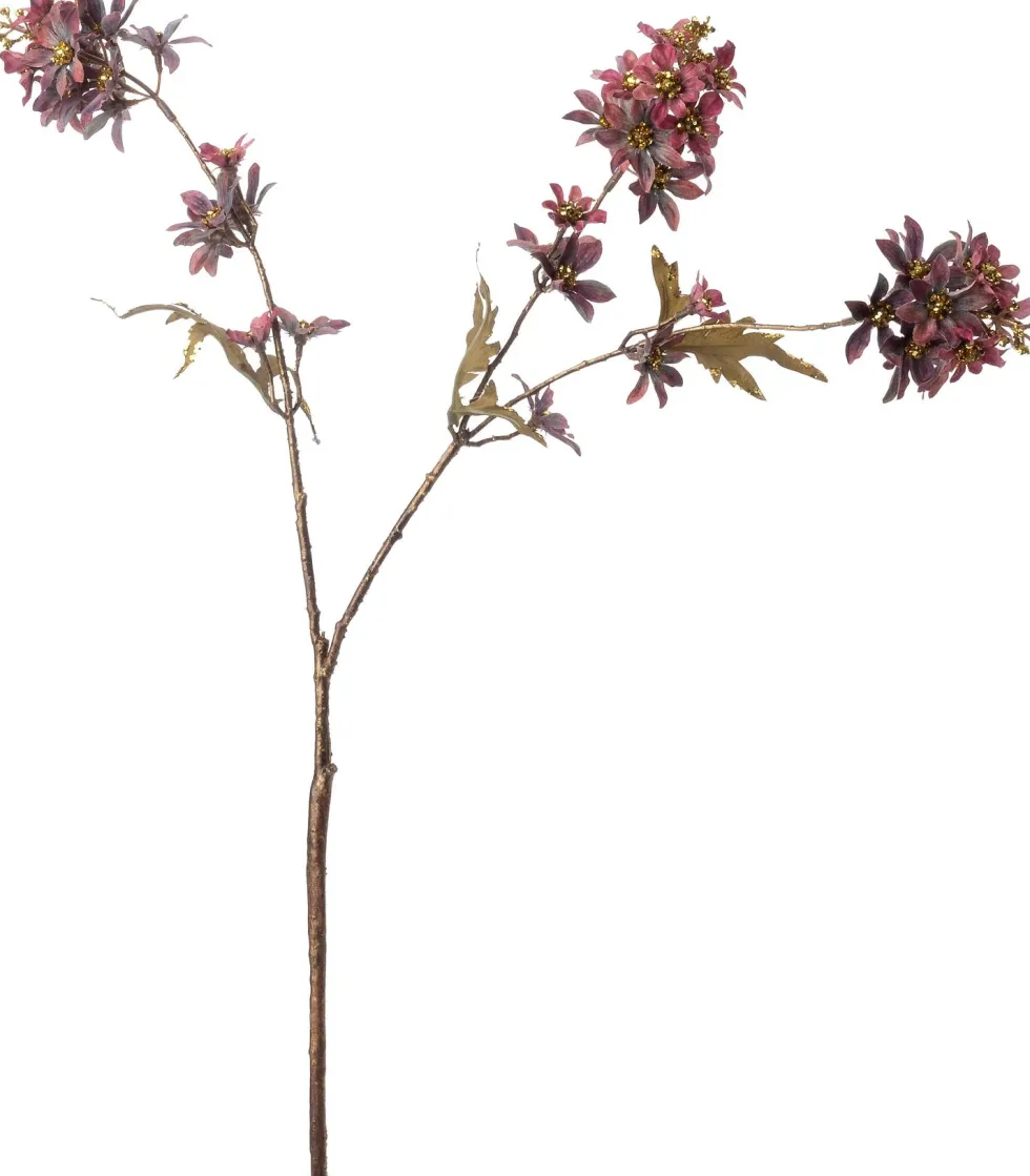 Intratuin kerstbloem kamille paars 78 cm