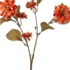 Intratuin kerstbloem kamille groen 90 cm