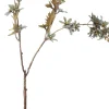 Intratuin kerstbloem kamille groen 78 cm