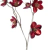 Intratuin kerstbloem Kerstroos rood, goud H 59 cm