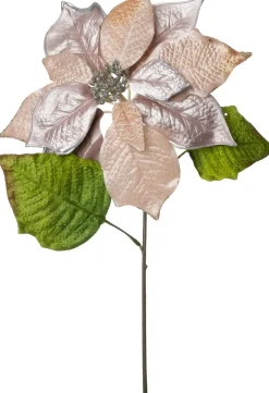 Intratuin kerstbloem kerstster met glitter beige 52 cm