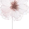 Intratuin kerstbloem Klaproos lichtroze 50 cm