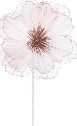 Intratuin kerstbloem Klaproos lichtroze 50 cm
