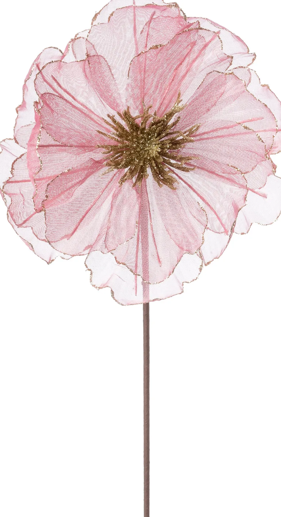 Intratuin kerstbloem Klaproos roze 50 cm