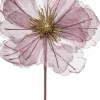 Intratuin kerstbloem Klaproos bordeaux 50 cm