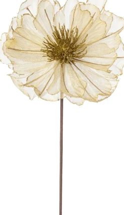 Intratuin kerstbloem Klaproos goud 50 cm