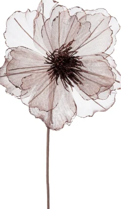 Intratuin kerstbloem Klaproos bruin 50 cm