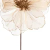 Intratuin kerstbloem Klaproos crème 50 cm