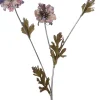 Intratuin kerstbloem madelief paars / roze 82 cm