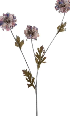 Intratuin kerstbloem madelief paars / roze 82 cm