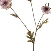 Intratuin kerstbloem madelief roze 82 cm