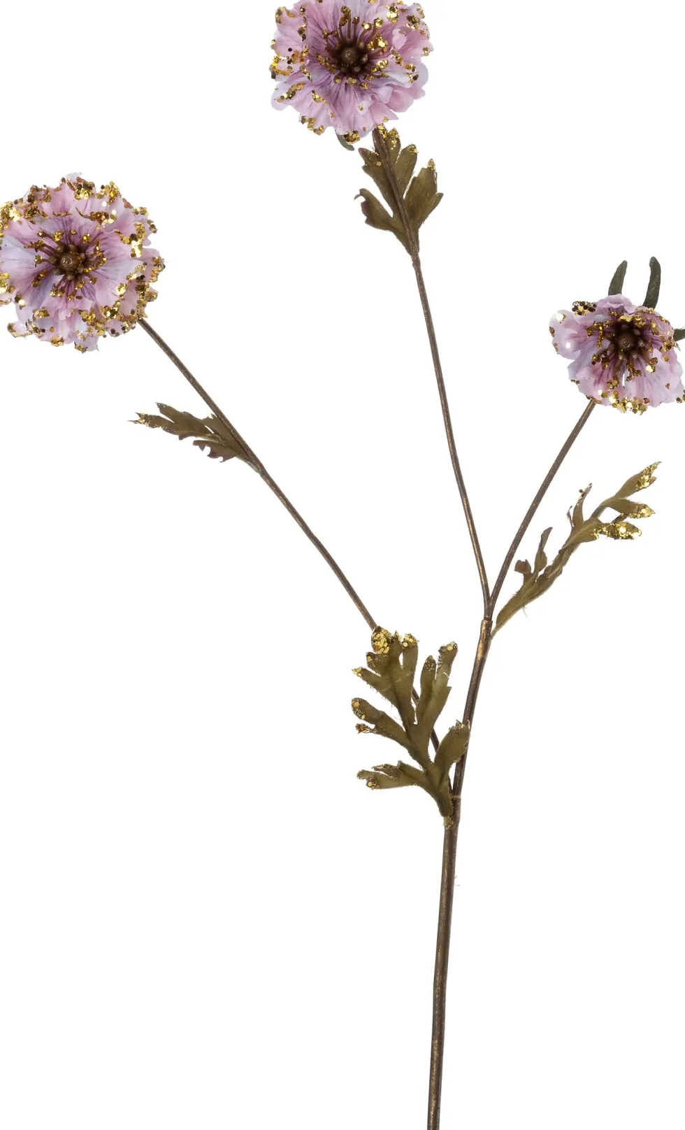 Intratuin kerstbloem madelief roze 82 cm