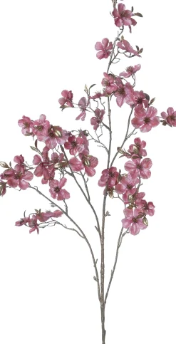 Intratuin kerstbloem Perzikbloesem roze H 120 cm