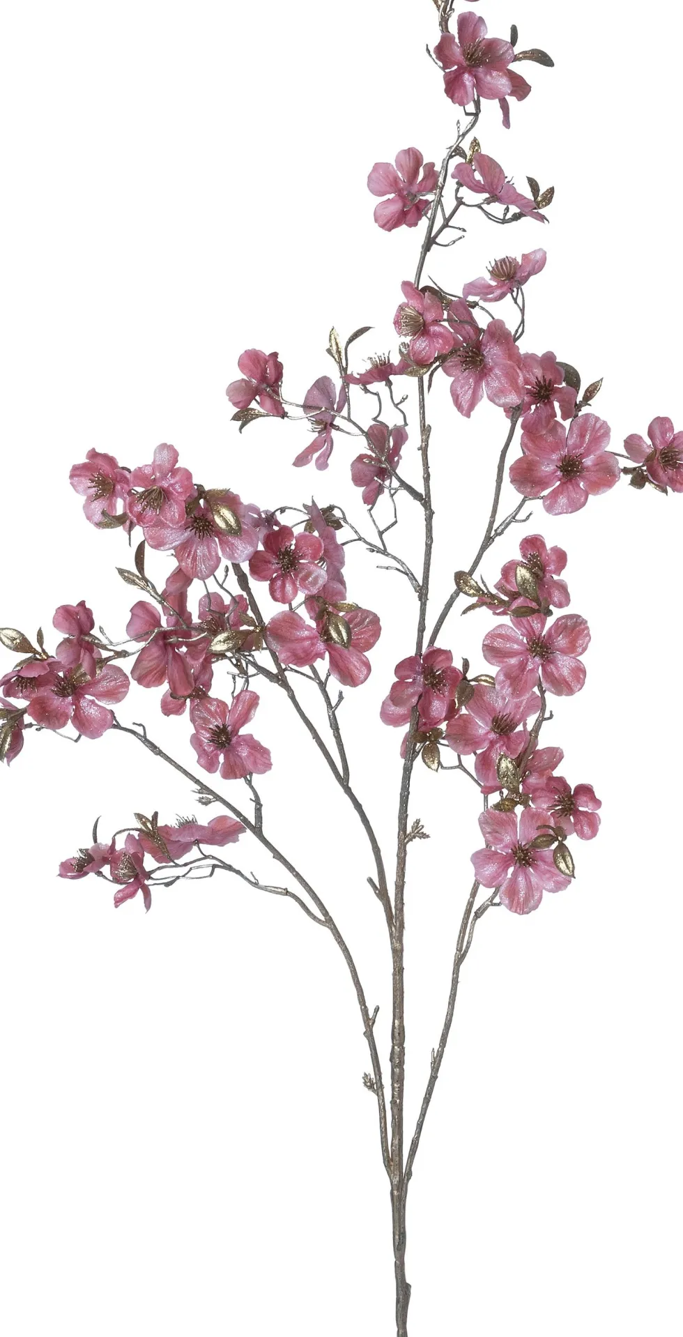 Intratuin kerstbloem Perzikbloesem roze H 120 cm