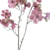Intratuin kerstbloem Perzikbloesem roze H 50 cm