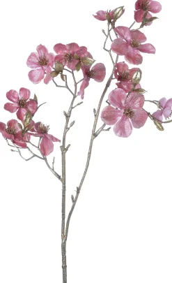 Intratuin kerstbloem Perzikbloesem roze H 50 cm