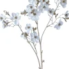 Intratuin kerstbloem Perzikbloesem wit H 87 cm