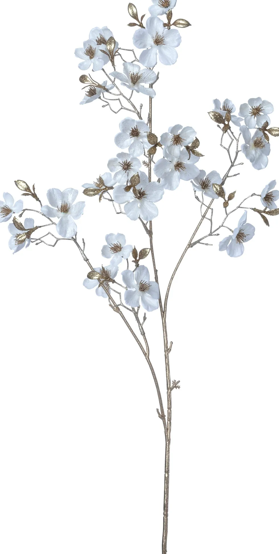 Intratuin kerstbloem Perzikbloesem wit H 87 cm