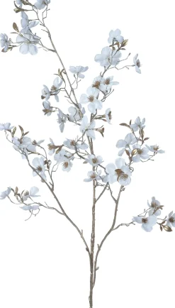 Intratuin kerstbloem Perzikbloesem wit H 120 cm