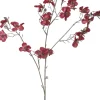 Intratuin kerstbloem Perzikbloesem rood H 87 cm