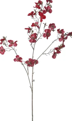 Intratuin kerstbloem Perzikbloesem rood H 87 cm