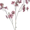 Intratuin kerstbloem Perzikbloesem roze H 87 cm