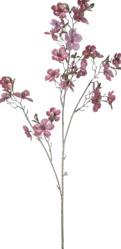Intratuin kerstbloem Perzikbloesem roze H 87 cm