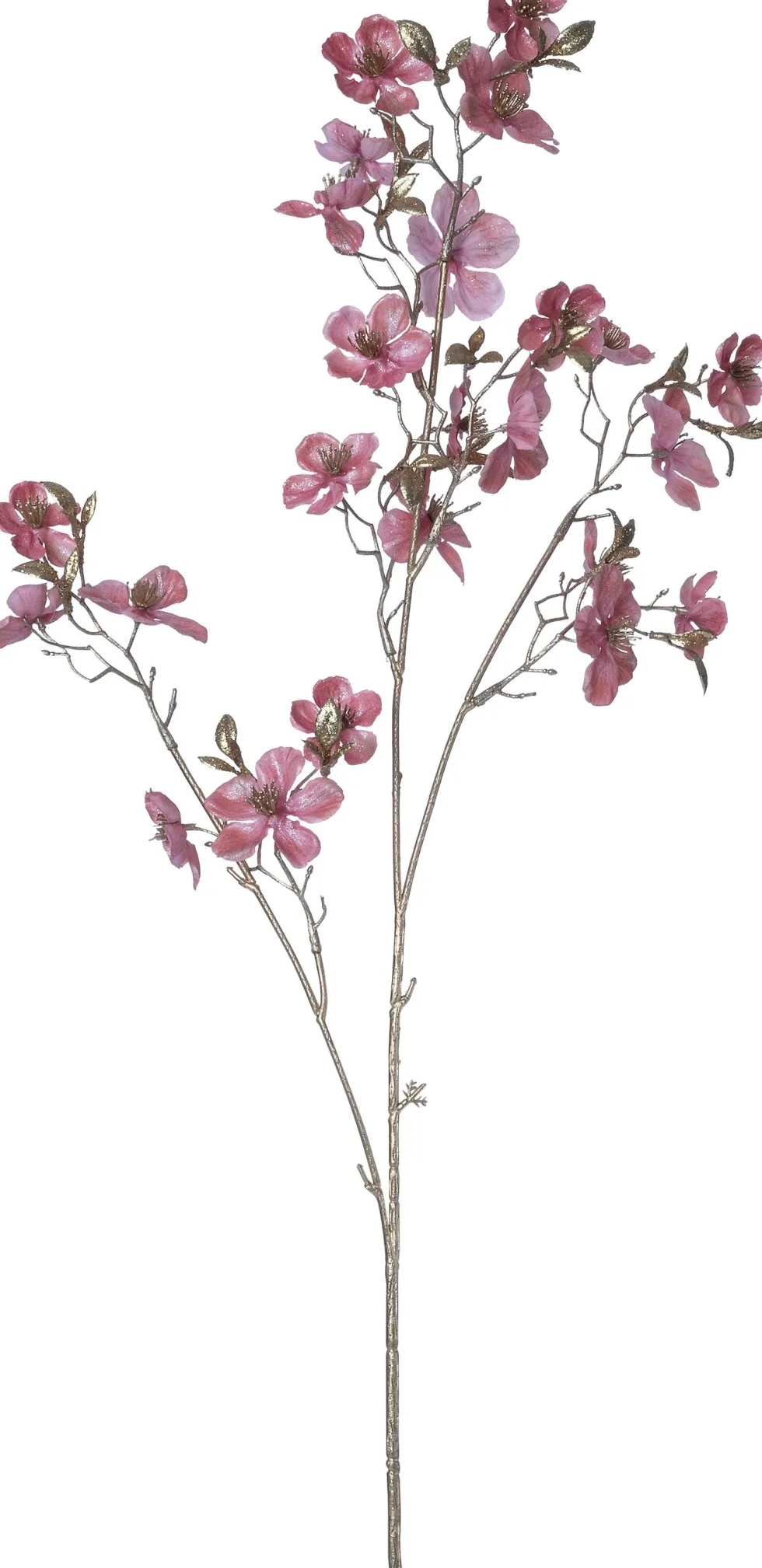 Intratuin kerstbloem Perzikbloesem roze H 87 cm