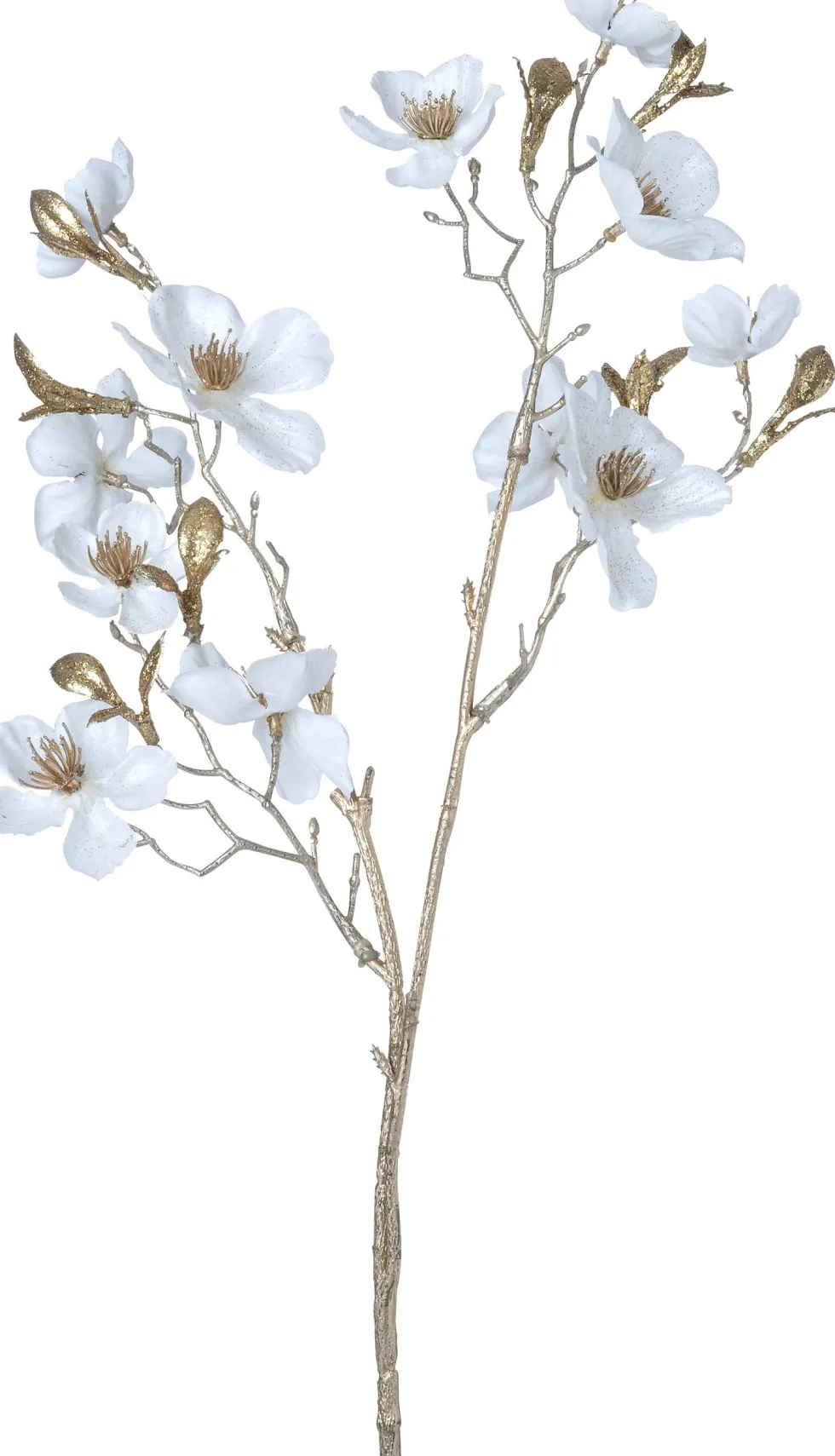 Intratuin kerstbloem Perzikbloesem wit H 50 cm