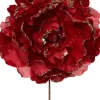 Intratuin kerstbloem pioenroos rood D 20 H 16 cm