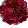 Intratuin kerstbloem pioenroos bordeaux D 20 H 16 cm