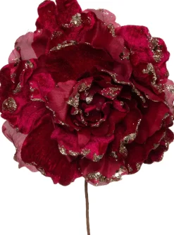 Intratuin kerstbloem pioenroos bordeaux D 20 H 16 cm