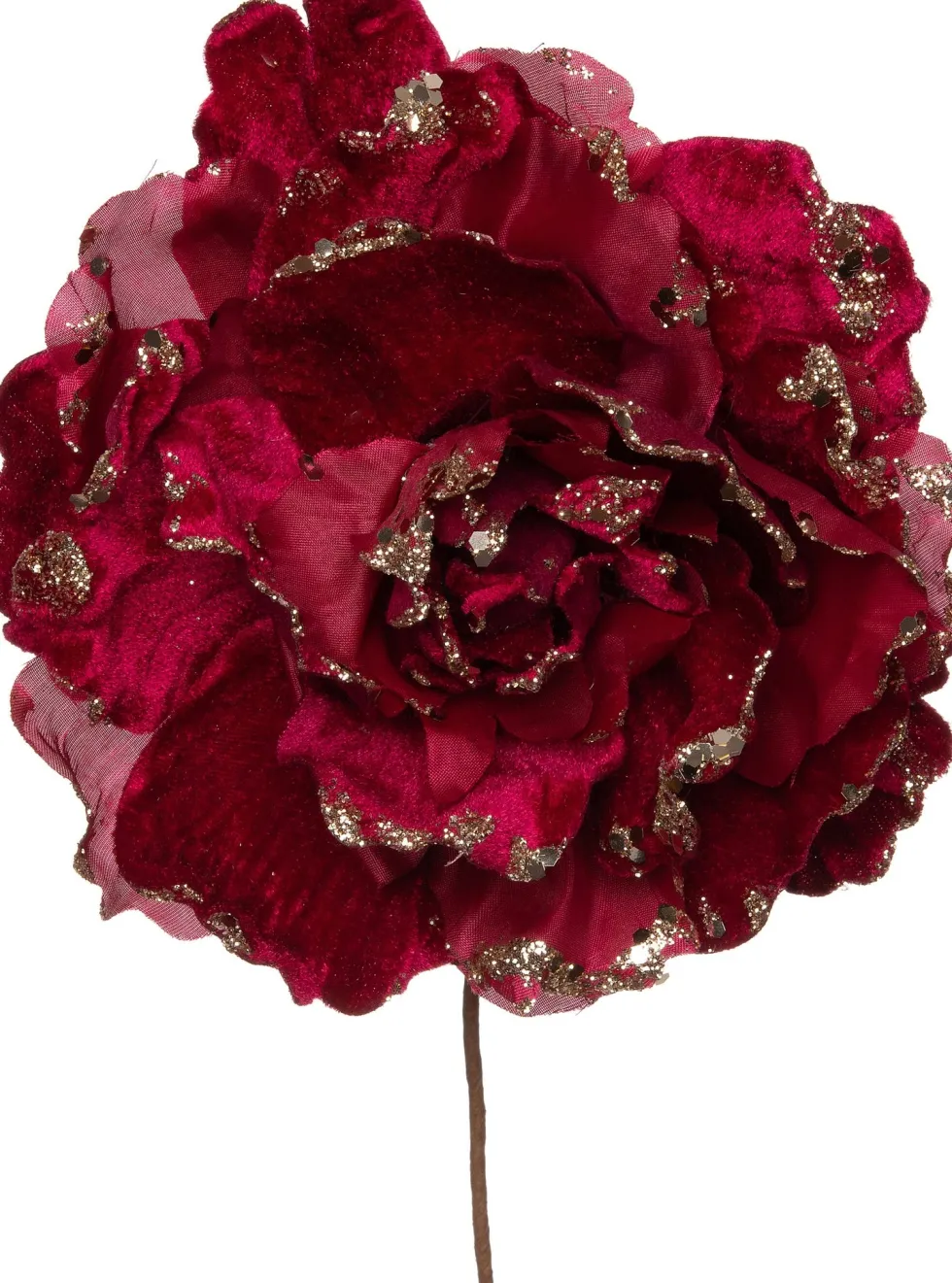 Intratuin kerstbloem pioenroos bordeaux D 20 H 16 cm