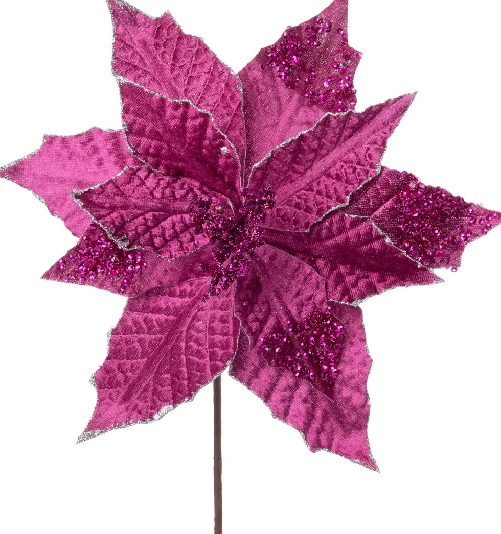 Intratuin kerstbloem Pippa fuchsia 23 cm