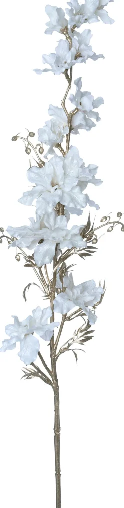 Intratuin kerstbloem Ridderspoor wit H 97 cm