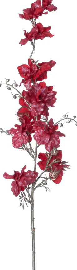 Intratuin kerstbloem Ridderspoor rood H 97 cm