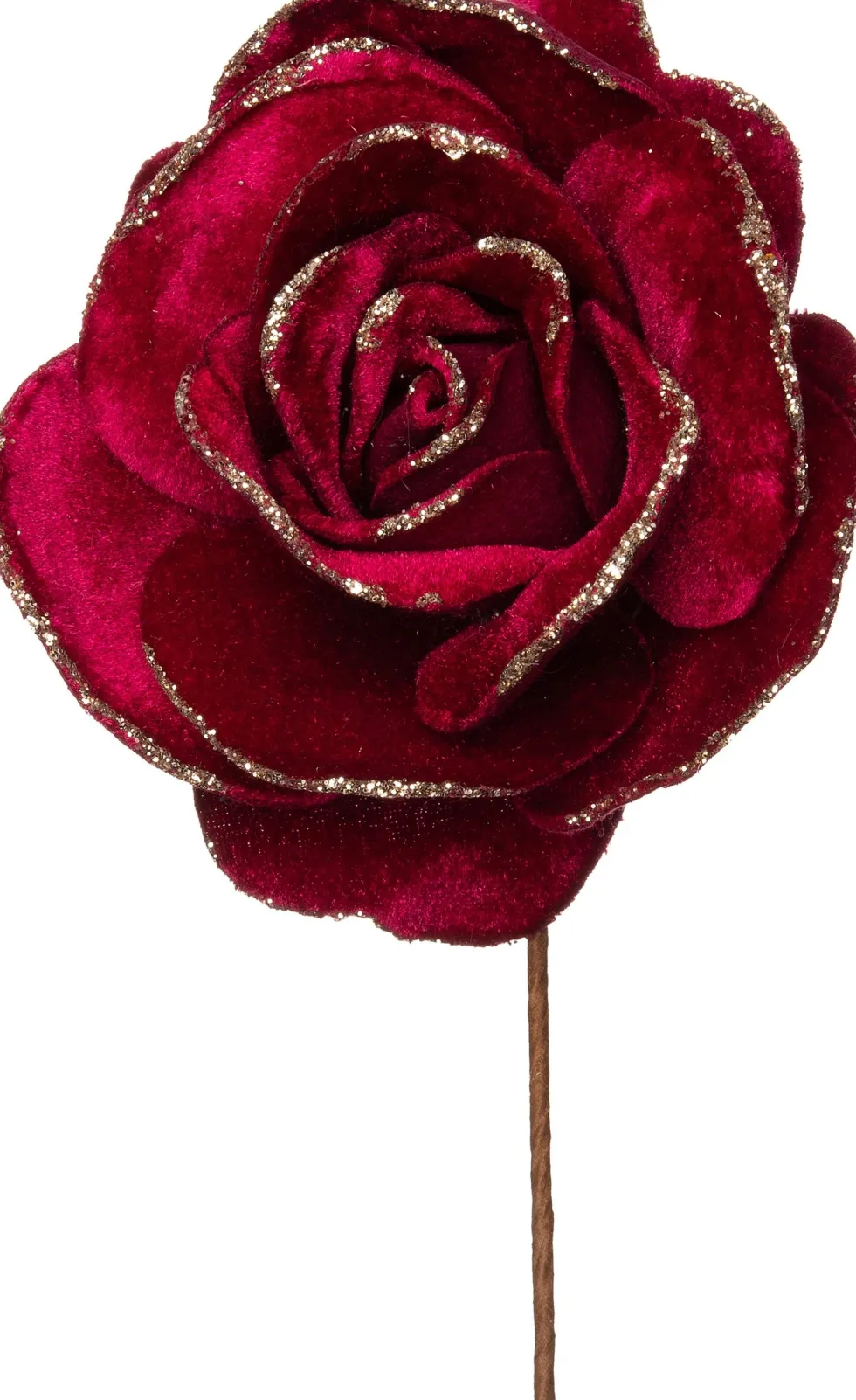 Intratuin kerstbloem roos bordeaux D 20 H 11 cm