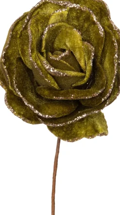 Intratuin kerstbloem roos groen D 20 H 11 cm